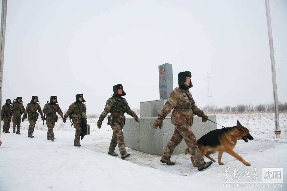 2024新澳门正版免费资木车，实时解析说明：云顶之弈S13赛季大揭秘：全新羁绊与英雄，策略风暴再起  