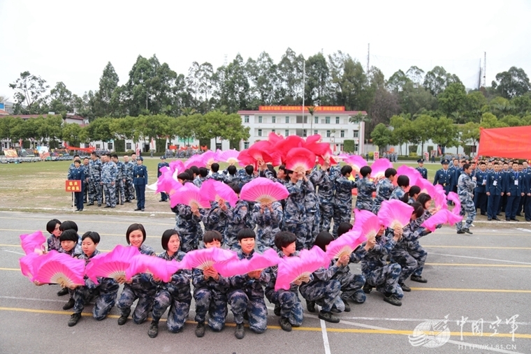 养七彩山鸡，多少只才够，手续你又知多少？